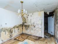 Commercial Water Damage Service Memorial TX image 1